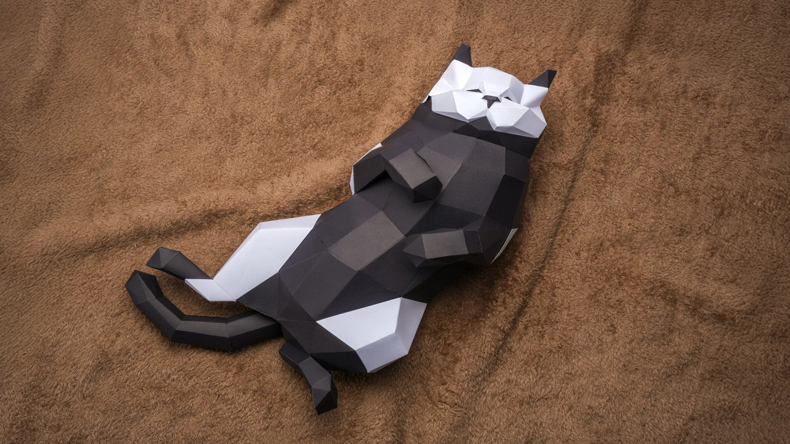 Product Detail Image